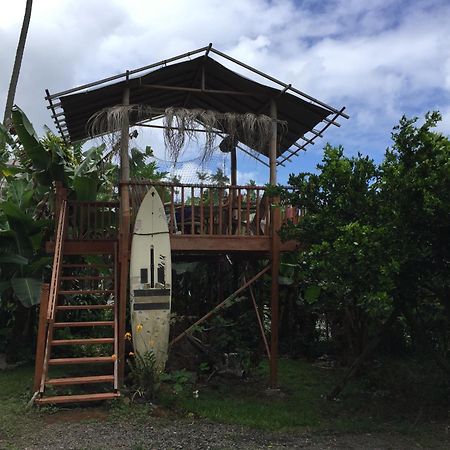 Wild Ginger Inn Hotel & Hostel 希洛 外观 照片